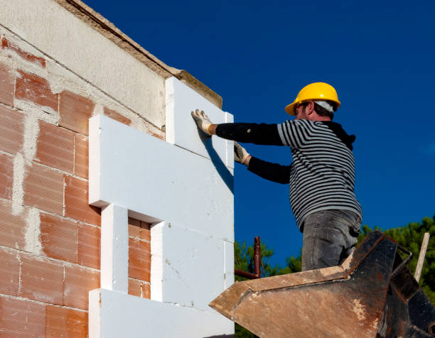 Best Eco-Friendly Insulation in The Woodlands, TX