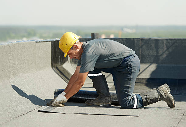 Best Specialized Insulation Services in The Woodlands, TX