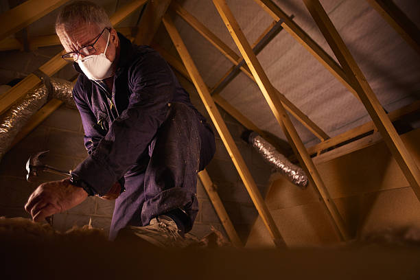 Types of Insulation We Offer in The Woodlands, TX